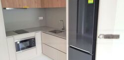 Parksuites (D10), Apartment #460537391